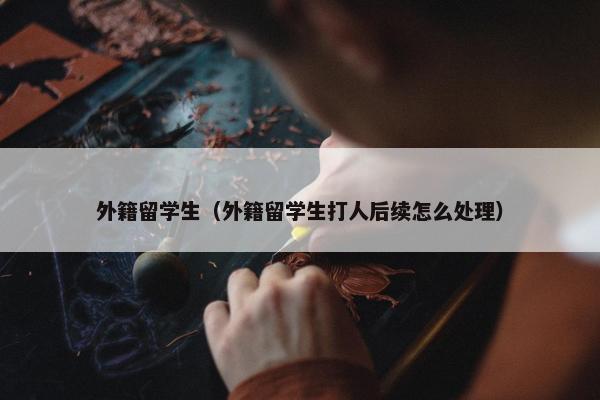 外籍留学生（外籍留学生打人后续怎么处理）