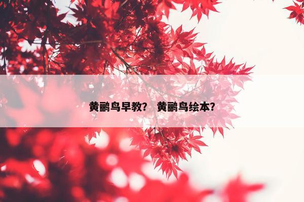 黄鹂鸟早教？ 黄鹂鸟绘本？