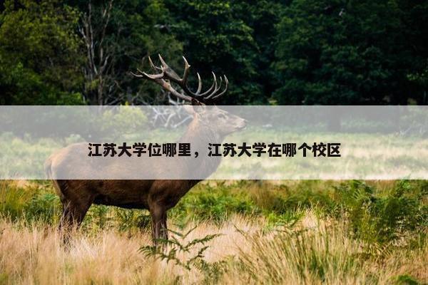 江苏大学位哪里，江苏大学在哪个校区