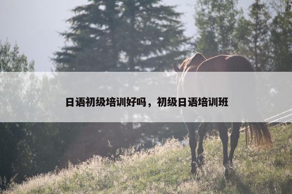 日语初级培训好吗，初级日语培训班