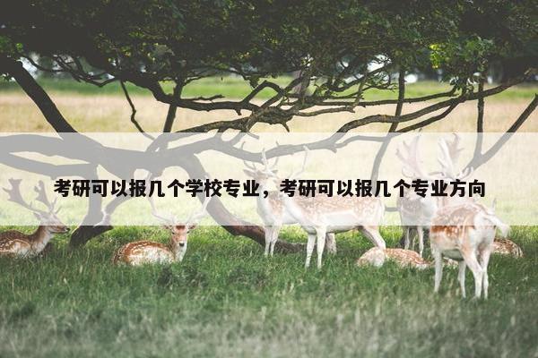 考研可以报几个学校专业，考研可以报几个专业方向