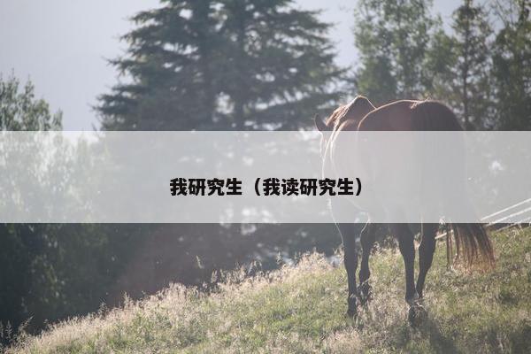 我研究生（我读研究生）