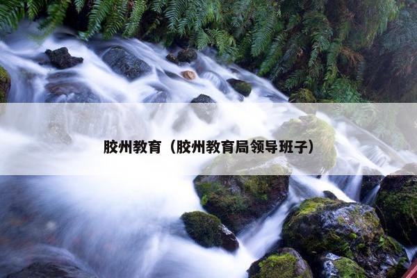 胶州教育（胶州教育局领导班子）