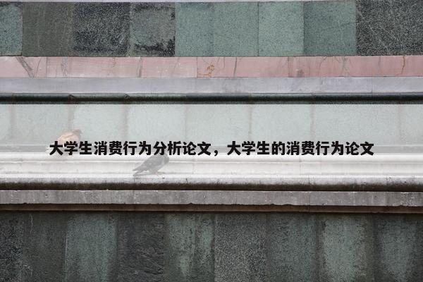 大学生消费行为分析论文，大学生的消费行为论文