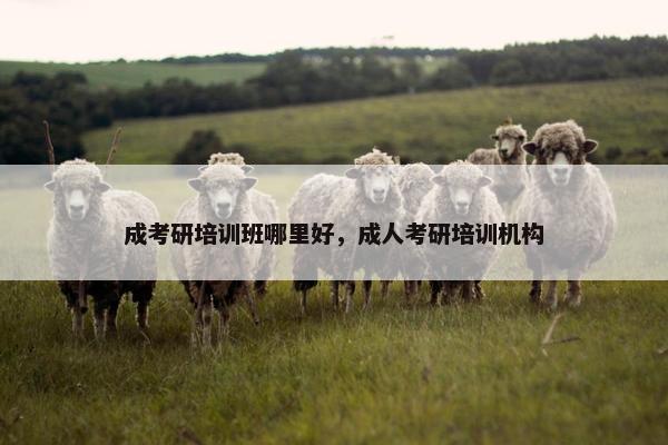 成考研培训班哪里好，成人考研培训机构