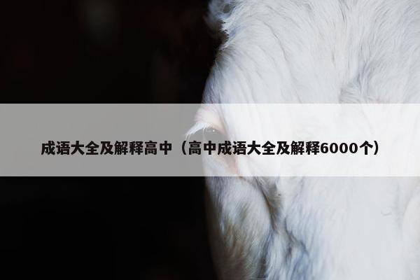 成语大全及解释高中（高中成语大全及解释6000个）