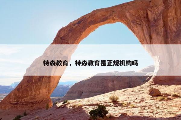 特森教育，特森教育是正规机构吗