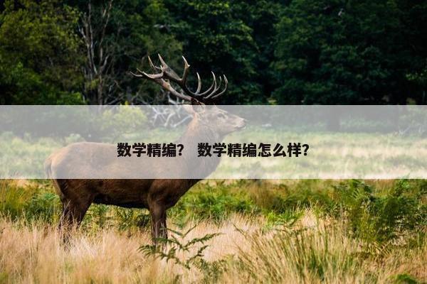 数学精编？ 数学精编怎么样？