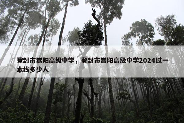 登封市嵩阳高级中学，登封市嵩阳高级中学2024过一本线多少人