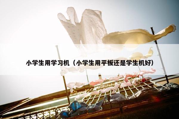 小学生用学习机（小学生用平板还是学生机好）