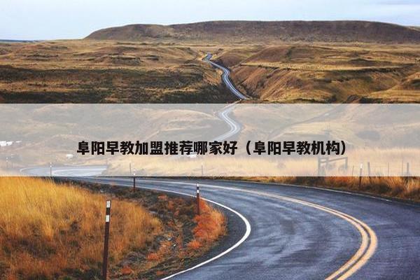 阜阳早教加盟推荐哪家好（阜阳早教机构）
