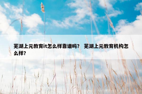 芜湖上元教育it怎么样靠谱吗？ 芜湖上元教育机构怎么样？