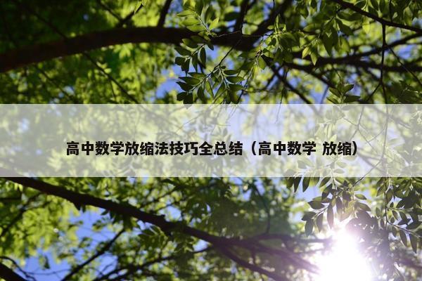 高中数学放缩法技巧全总结（高中数学 放缩）