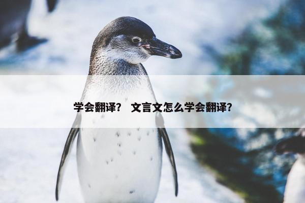 学会翻译？ 文言文怎么学会翻译？