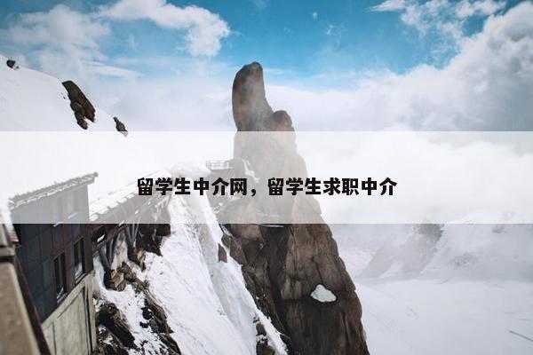留学生中介网，留学生求职中介