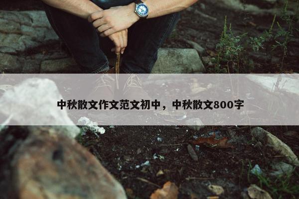 中秋散文作文范文初中，中秋散文800字