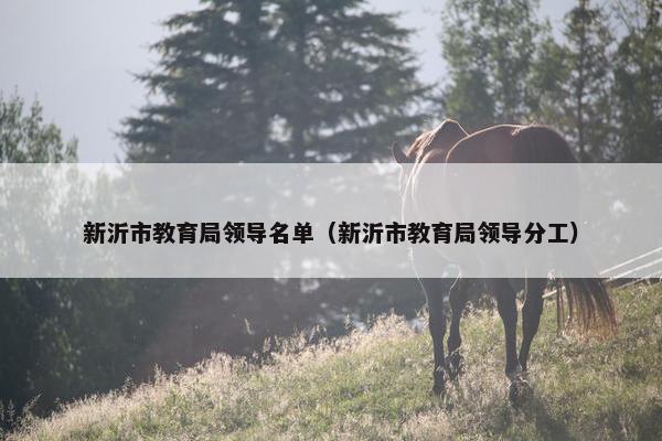 新沂市教育局领导名单（新沂市教育局领导分工）