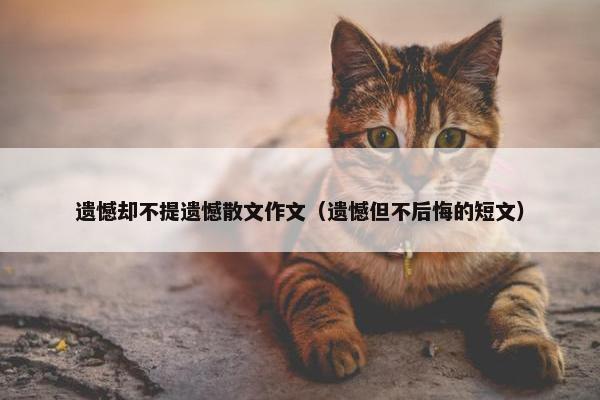 遗憾却不提遗憾散文作文（遗憾但不后悔的短文）