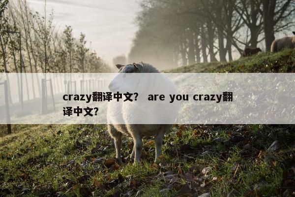 crazy翻译中文？ are you crazy翻译中文？