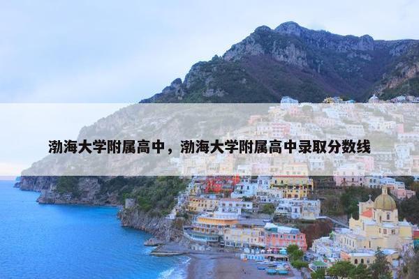 渤海大学附属高中，渤海大学附属高中录取分数线