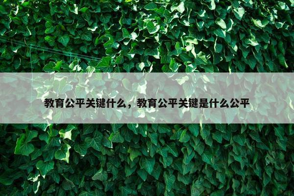 教育公平关键什么，教育公平关键是什么公平