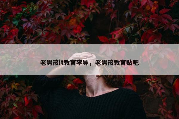 老男孩it教育李导，老男孩教育贴吧