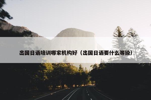出国日语培训哪家机构好（出国日语要什么等级）