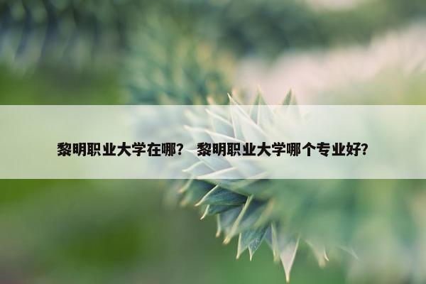黎明职业大学在哪？ 黎明职业大学哪个专业好？