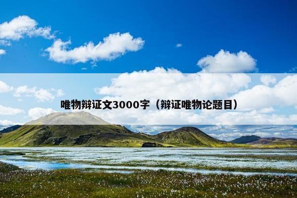 唯物辩证文3000字（辩证唯物论题目）