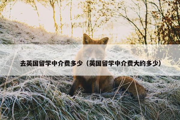 去英国留学中介费多少（英国留学中介费大约多少）