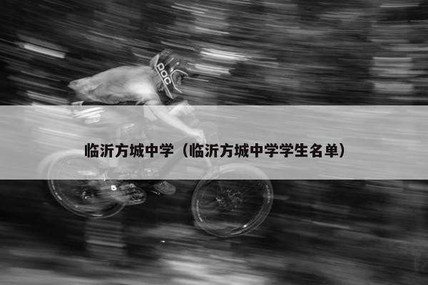 临沂方城中学（临沂方城中学学生名单）
