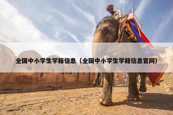 全国中小学生学籍信息（全国中小学生学籍信息官网）