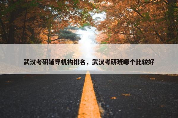 武汉考研辅导机构排名，武汉考研班哪个比较好