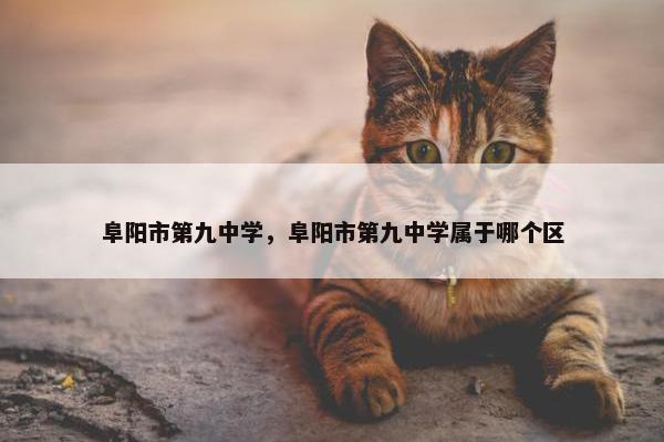 阜阳市第九中学，阜阳市第九中学属于哪个区