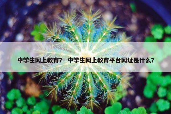 中学生网上教育？ 中学生网上教育平台网址是什么？