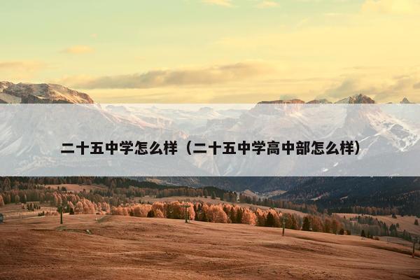 二十五中学怎么样（二十五中学高中部怎么样）