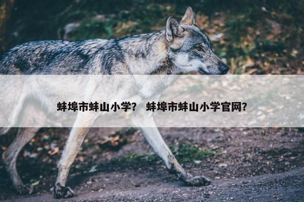 蚌埠市蚌山小学？ 蚌埠市蚌山小学官网？