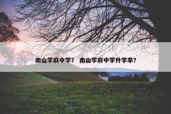 南山学府中学？ 南山学府中学升学率？