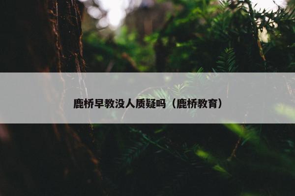 鹿桥早教没人质疑吗（鹿桥教育）