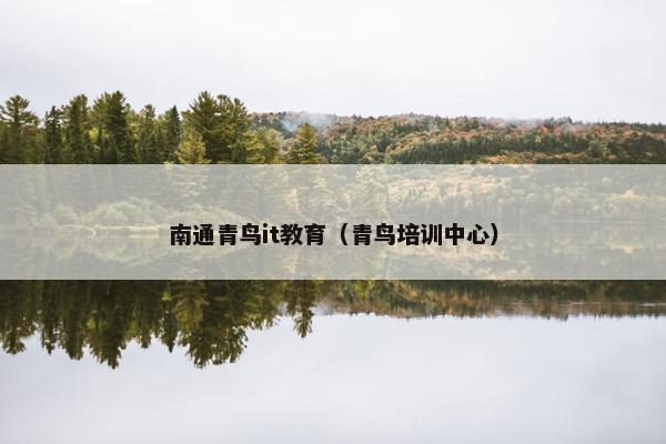南通青鸟it教育（青鸟培训中心）