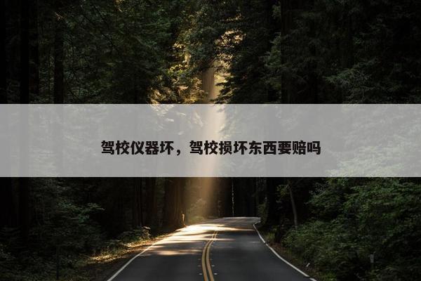 驾校仪器坏，驾校损坏东西要赔吗