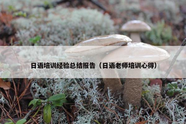日语培训经验总结报告（日语老师培训心得）