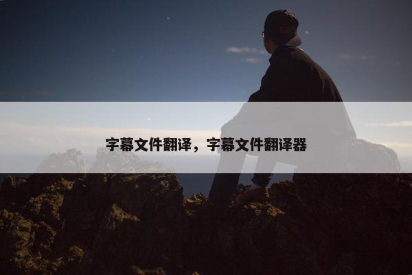 字幕文件翻译，字幕文件翻译器