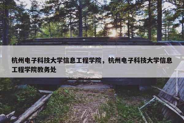 杭州电子科技大学信息工程学院，杭州电子科技大学信息工程学院教务处