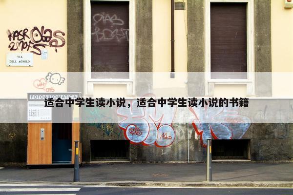 适合中学生读小说，适合中学生读小说的书籍