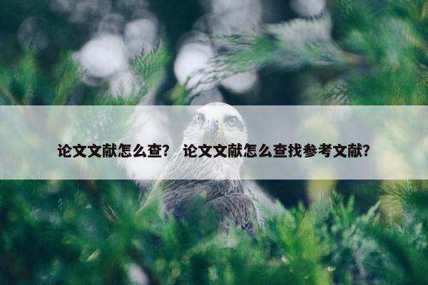 论文文献怎么查？ 论文文献怎么查找参考文献？