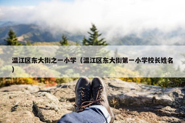 温江区东大街之一小学（温江区东大街第一小学校长姓名）