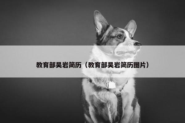 教育部吴岩简历（教育部吴岩简历图片）