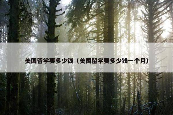 美国留学要多少钱（美国留学要多少钱一个月）