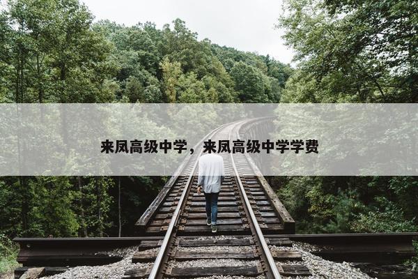 来凤高级中学，来凤高级中学学费